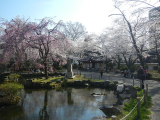 DSCN3567