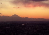 都庁夜景