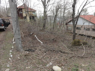 DSC02895