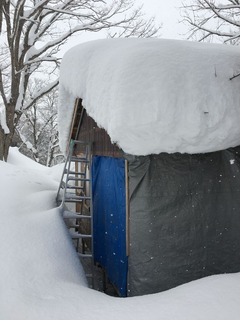 IMG-4610