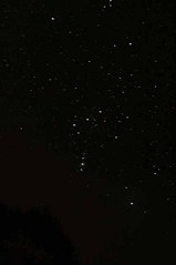 orion