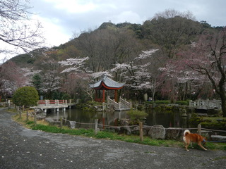 DSCN3478