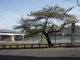 17de39e4.JPG