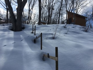 IMG-8307