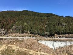IMG_2092