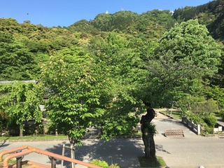 IMG-5094