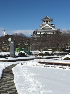 IMG-4602