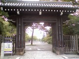 蛤御門