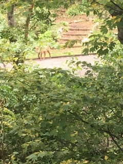 IMG-6862