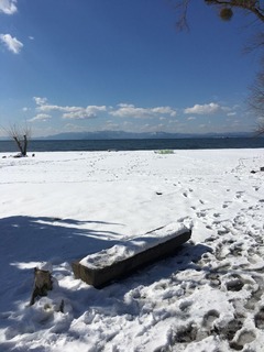 IMG-4604