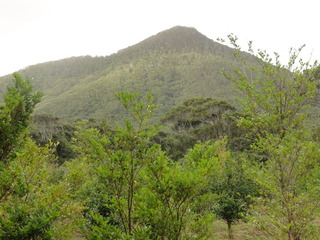 DSC02358