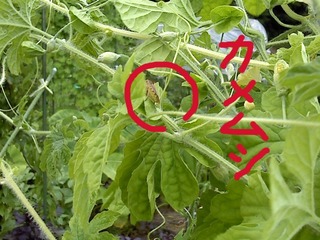 P2010_0806_164252