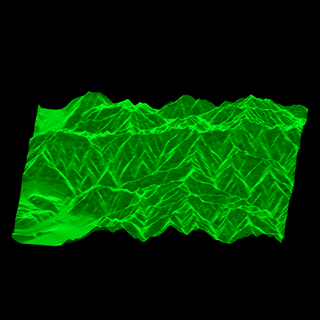 area_s