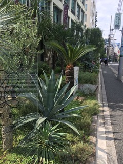 IMG-6546