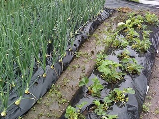 P2011_0423_100404