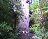 43e69063.jpg