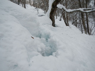 DSCN3759
