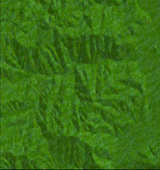 559484d8.jpg