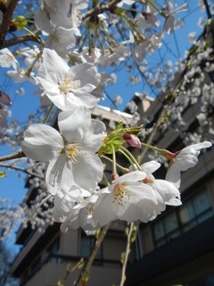 DSCN3545