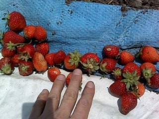 P2011_0514_130135