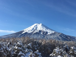 IMG_3177