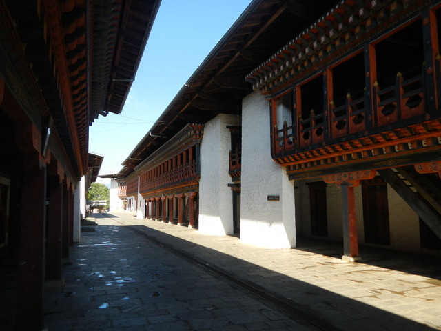 DSCN0561