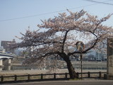6035dfd6.JPG