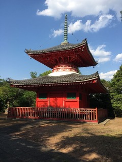 IMG_2704