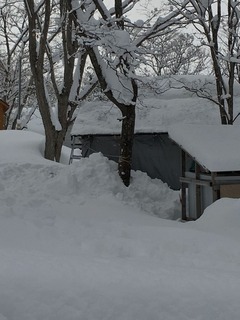 IMG-4616