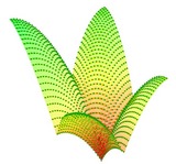 6e46741d.jpg