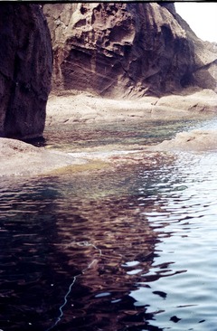 Untitled (99)