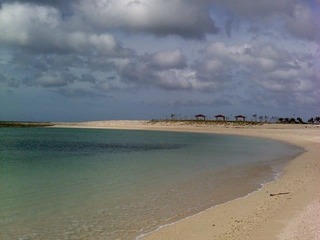 P2011_1102_124217