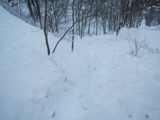 DSCN3758