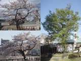 7dd712f6.jpg