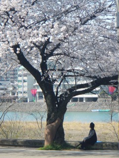 DSCN3559