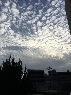 IMG-5679
