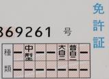 85f71c59.JPG