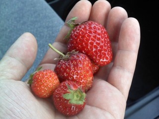 P2011_0608_174913