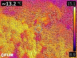 FLIR0013