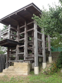 DSC03104