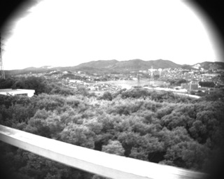 konara