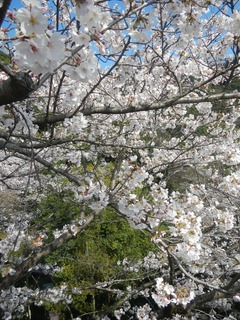 DSCN3574