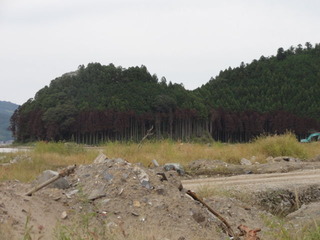 DSC02251