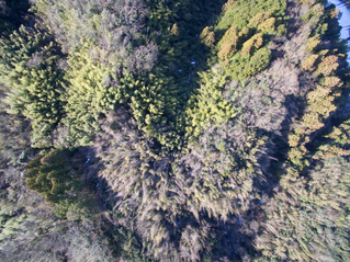 DJI_0175