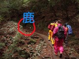 トロッコ道