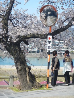 DSCN3542