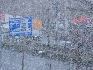 DSC02599