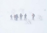 ホワイトアウト