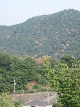 P7270164