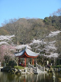 DSCN3569